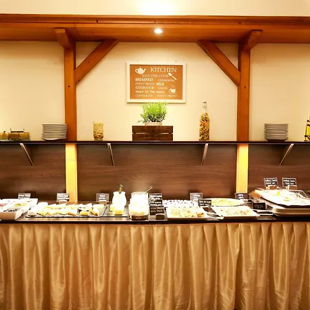 Louis Leger - Czech Leading Hotel Prag